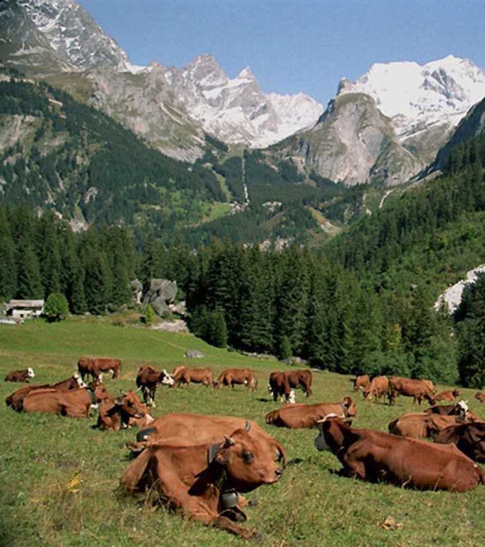 Les glaciers de haute Maurienne
