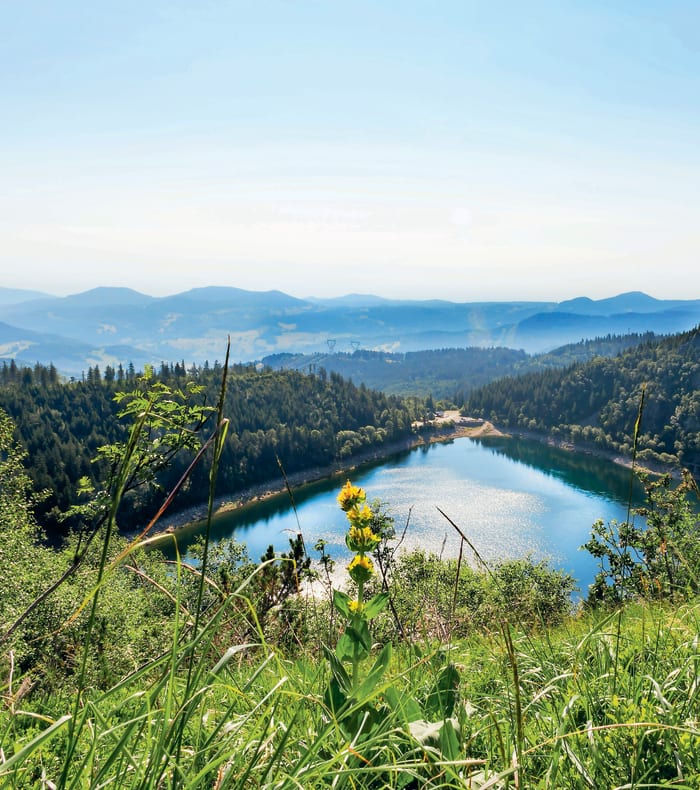 De smukkeste stier, mellem Haut Allier og Compostela