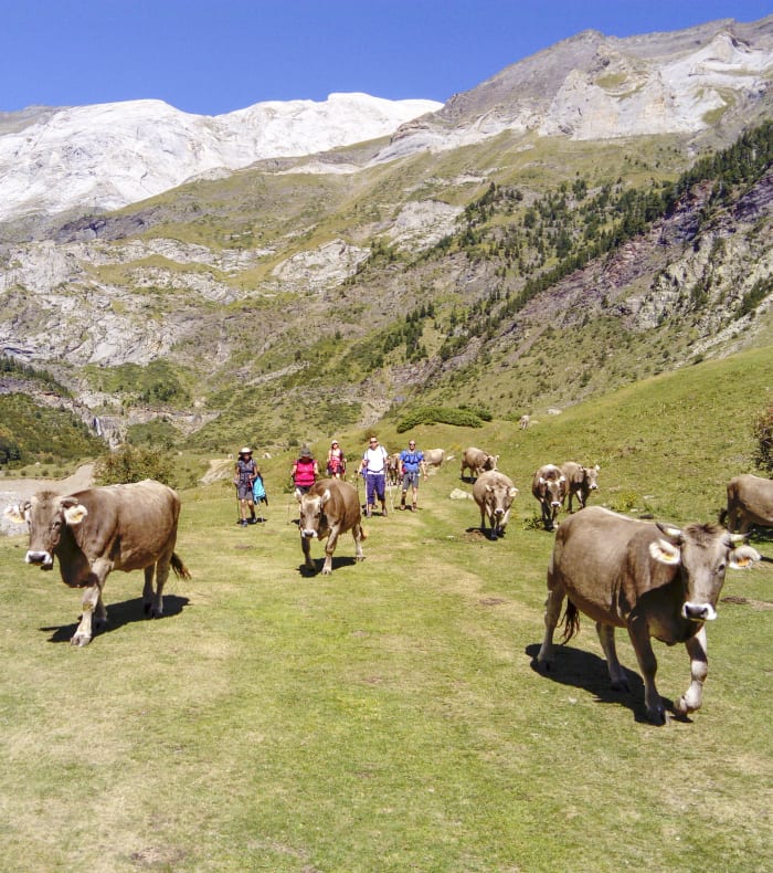 Les plus beaux sentiers d'Aure et d'Aragon