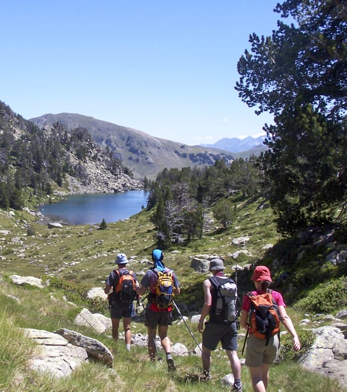 De smukkeste stier i Aure og Aragon