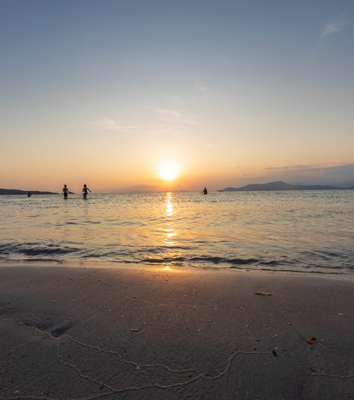 Les plus beaux sentiers de Porquerolles et et de Giens - Happy Summer 