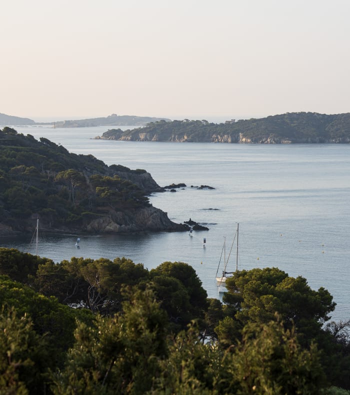 De smukkeste stier ved Porquerolles og Giens - Happy Summer