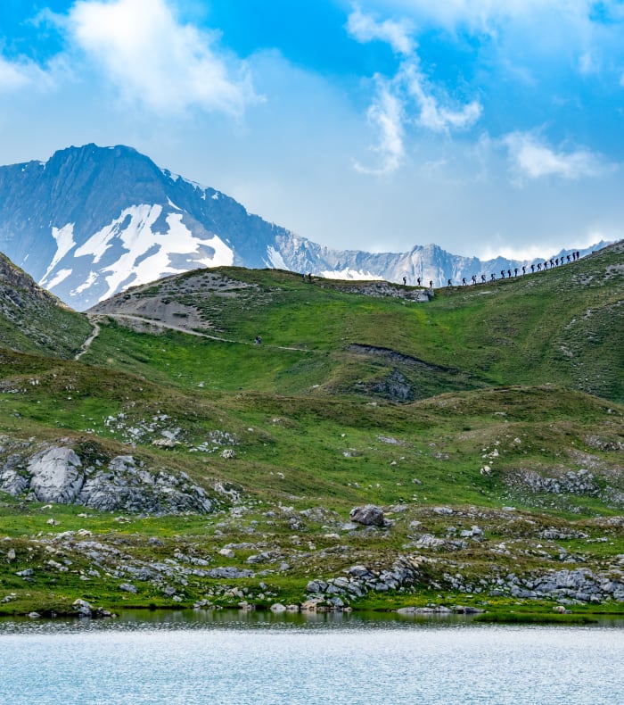 De smukkeste stier i Serre Ponçon