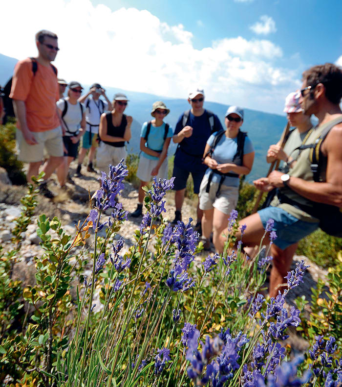 Les plus beaux sentiers des Baronnies
