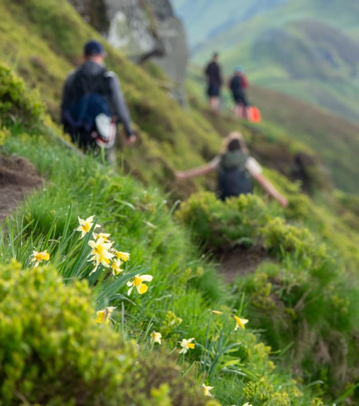 Les plus beaux sentiers des Monts du Cantal