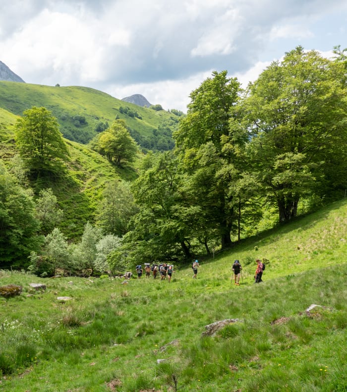 Les plus beaux sentiers des Monts du Cantal