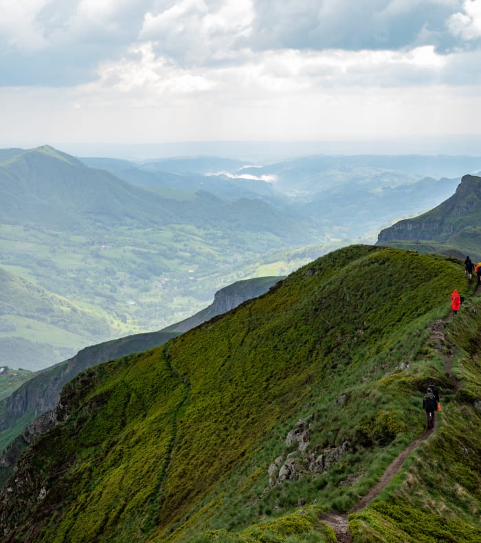 De smukkeste stier i Monts du Cantal