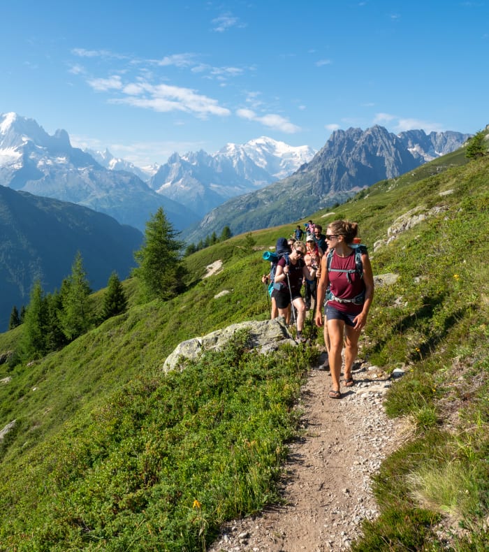 De smukkeste stier i Mont Blanc