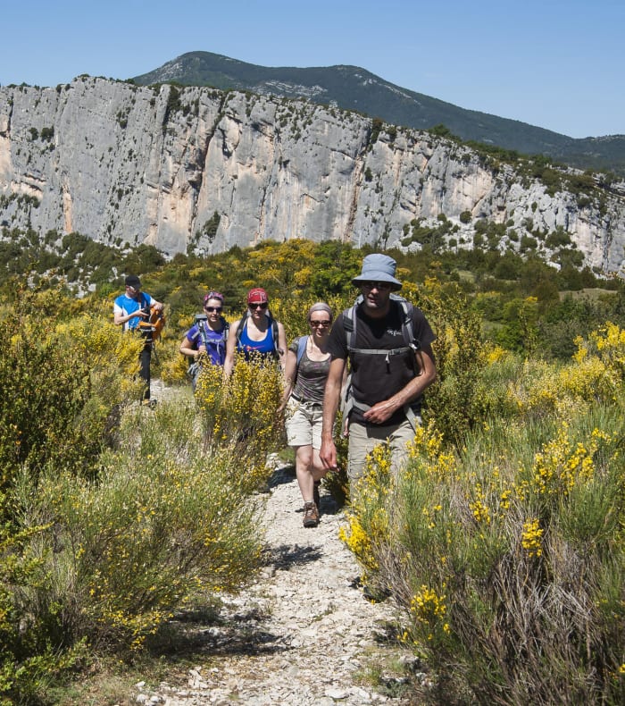 De smukkeste stier i Verdon - Happy Summer