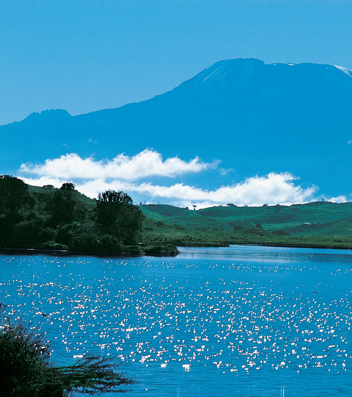 Les réserves du Kilimandjaro