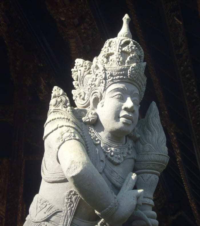 Les rizières de Bali - Vol retour de jour