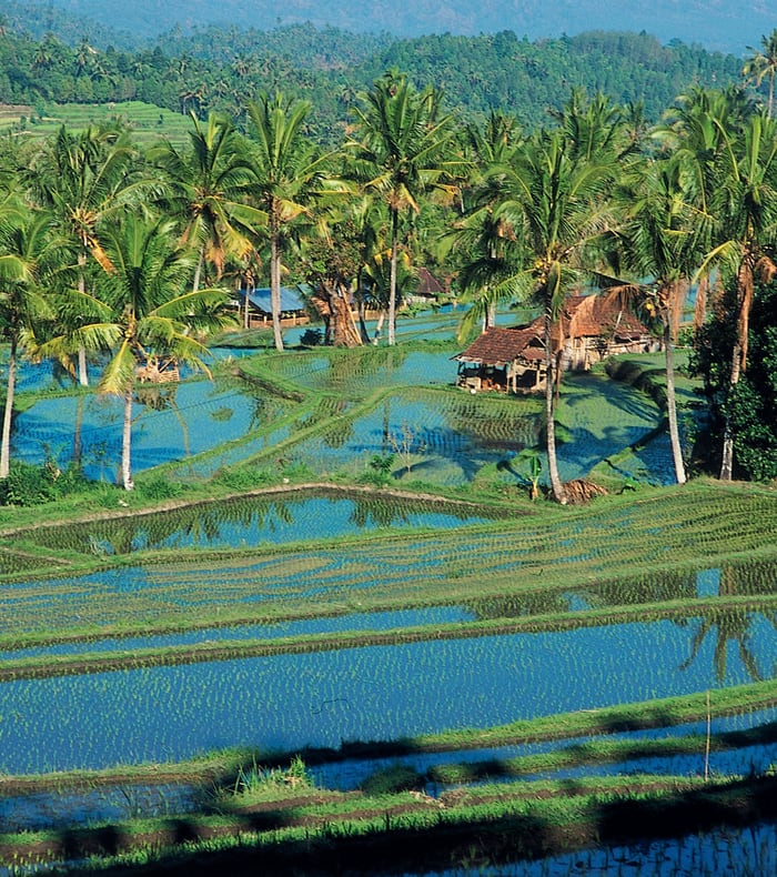 Les rizières de Bali - Vol retour de nuit