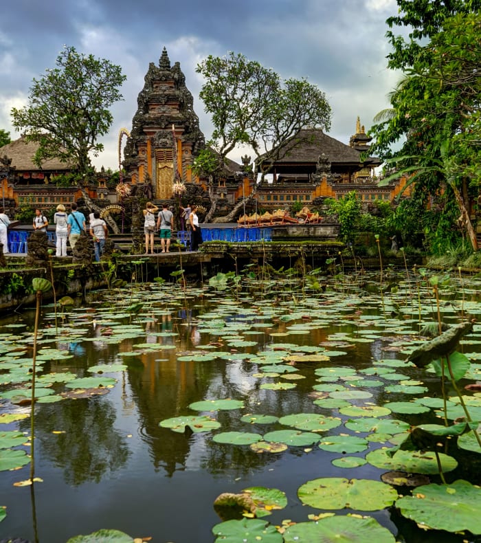 Rismarkerne på Bali – returflyvning om natten