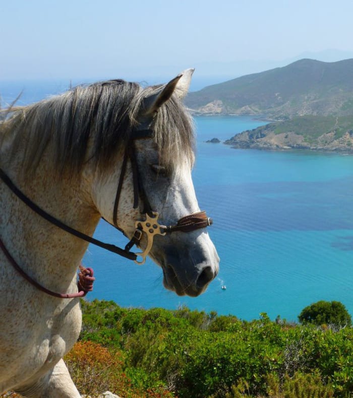 Mer et montagne par les Agriates