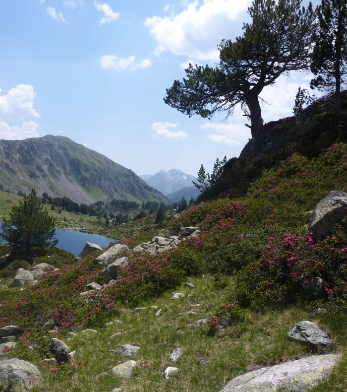 Micro aventure Rando dans la réserve de Néouvielle