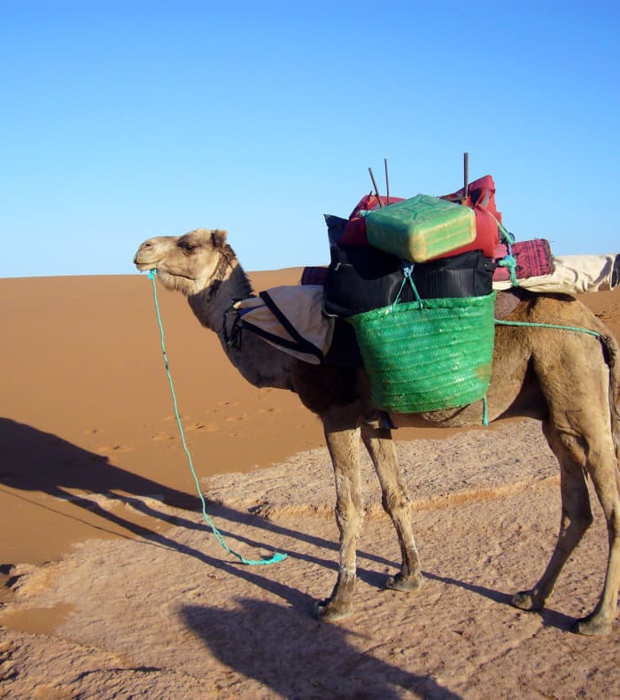 Nouvel An dans le désert marocain