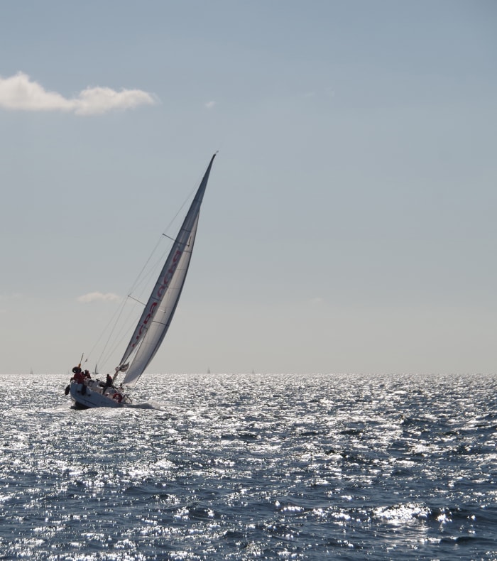 Objectif voilier niveau 3 - Navigation et cartographie