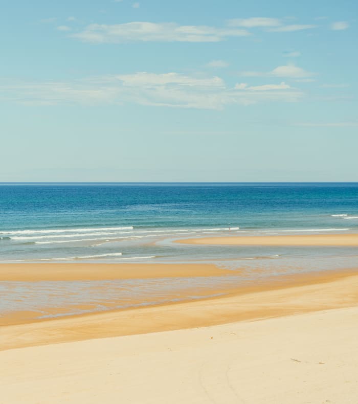 Pack bon plan dans les Landes