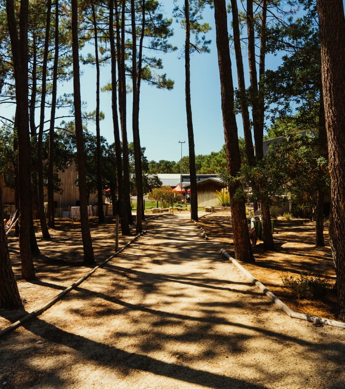 Pack bon plan dans les Landes