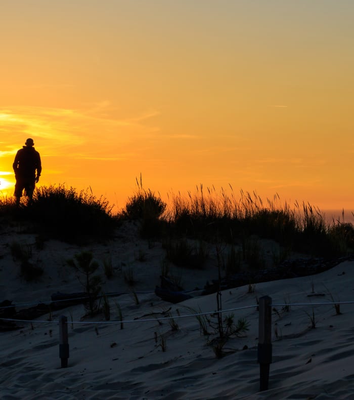 Godt tilbud i Landes