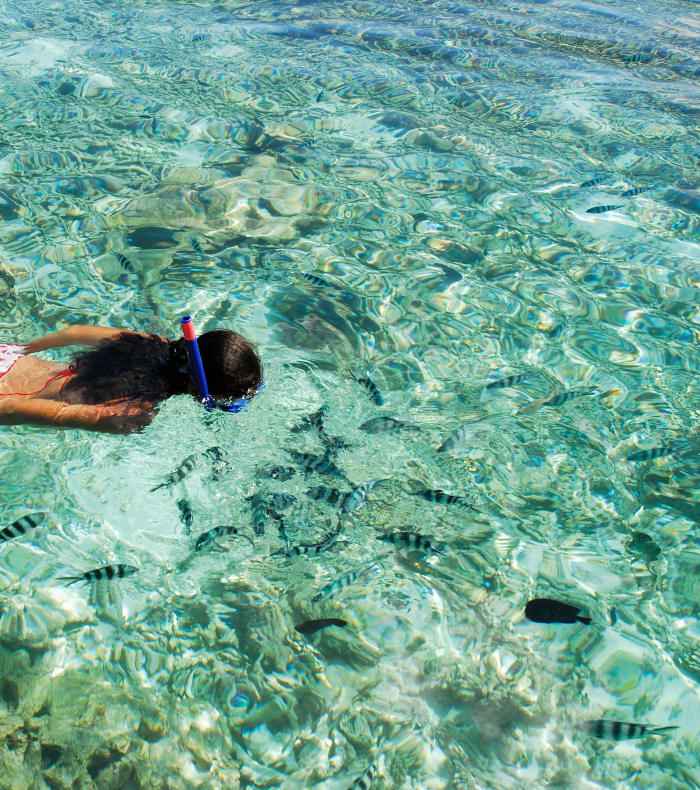 Pack bon plan les Saintes 8 jours