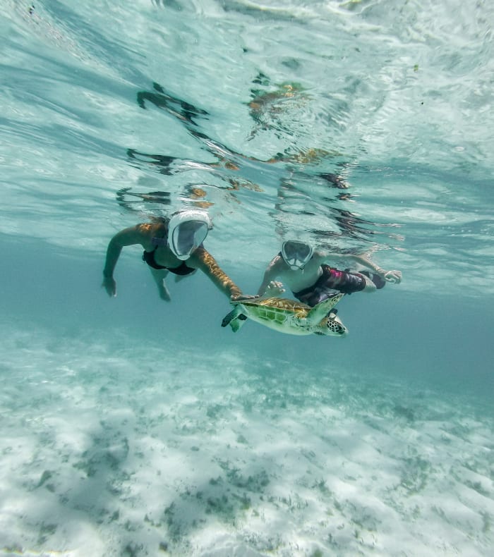 Pack Bon Plan Martinique 11 jours