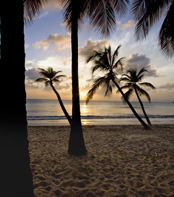 Pack Bon Plan Martinique 11 jours