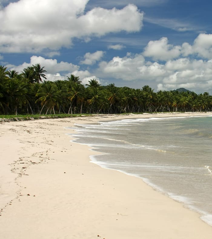 Pack Bon Plan Martinique 11 jours