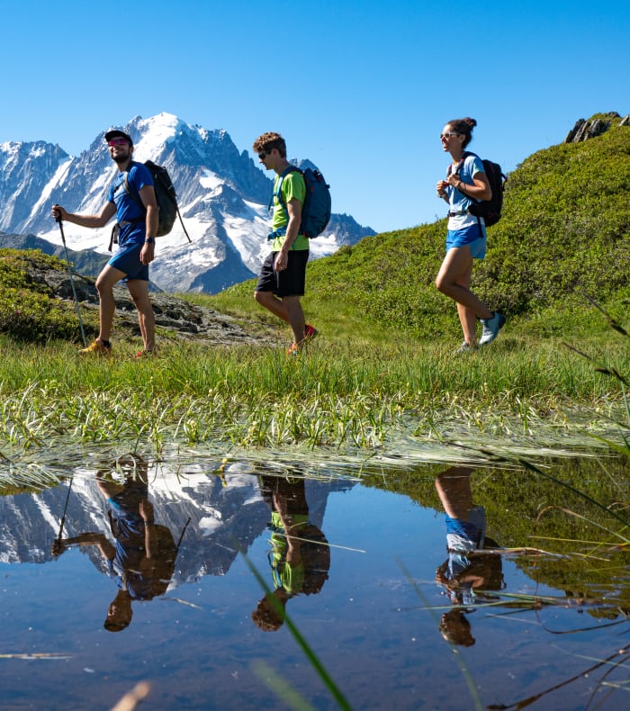 Panoramic des glaciers du Mont-Blanc - Happy Summer