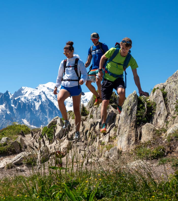 Panoramic des glaciers du Mont-Blanc - Happy Summer