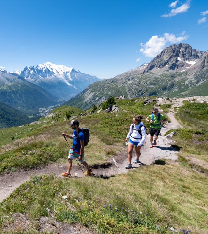 Panoramic des glaciers du Mont-Blanc - Happy Summer