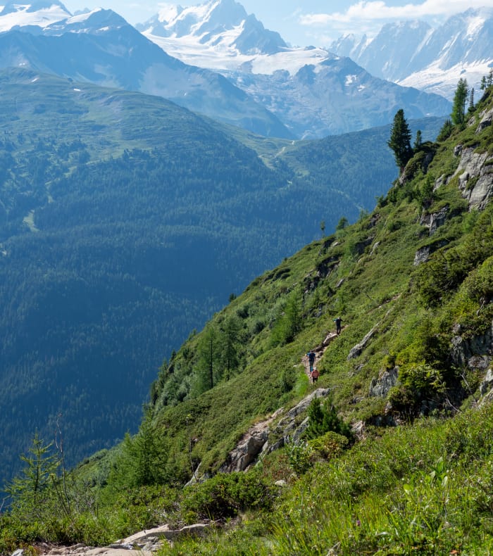 Panoramic des glaciers du mont Blanc
