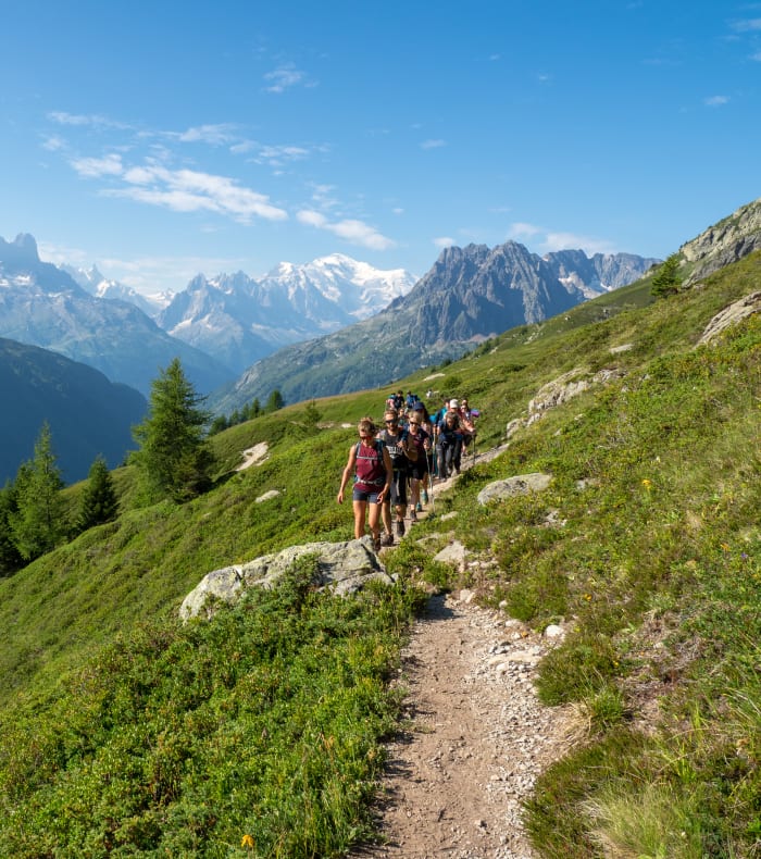 Panoramic des glaciers du mont Blanc