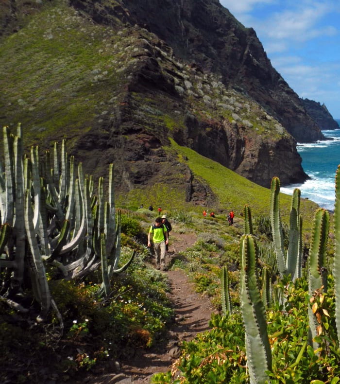 Parc Naturel du Teide, toit de l'Espagne