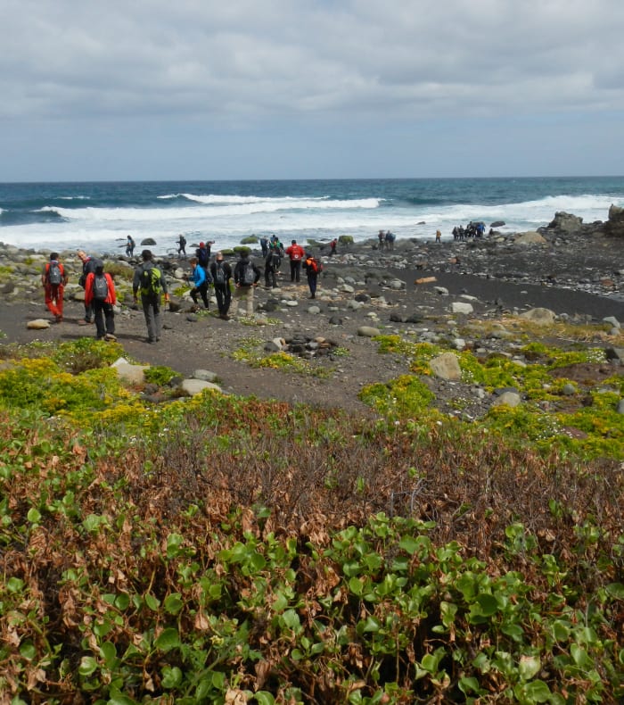 Parc Naturel du Teide, toit de l'Espagne