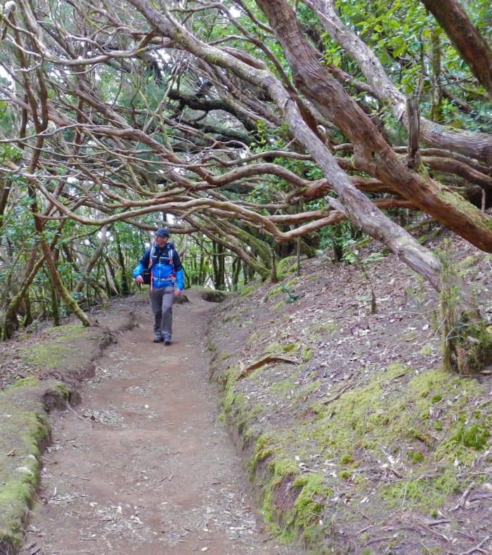Parc Naturel du Teide, toit de l'Espagne