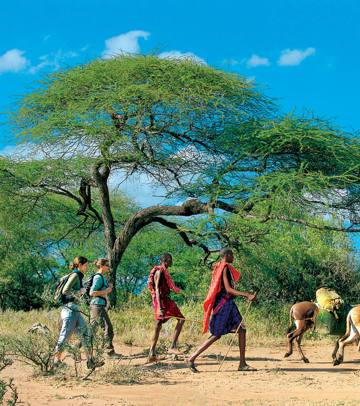 Parcs du nord et mont Kenya