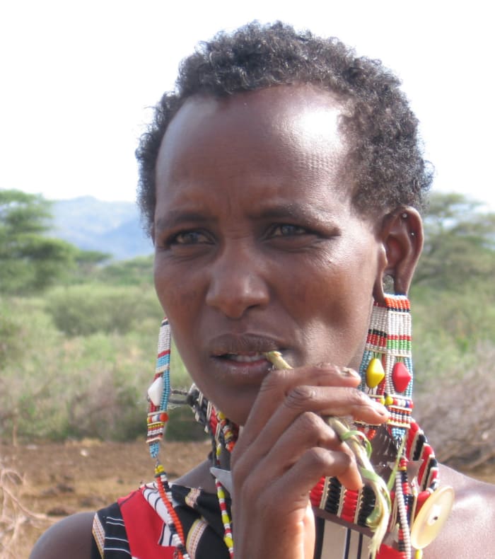 Parcs du nord et mont Kenya