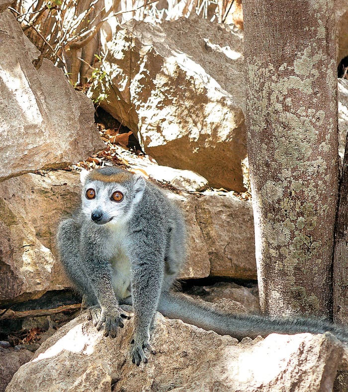 Paysages de Madagascar