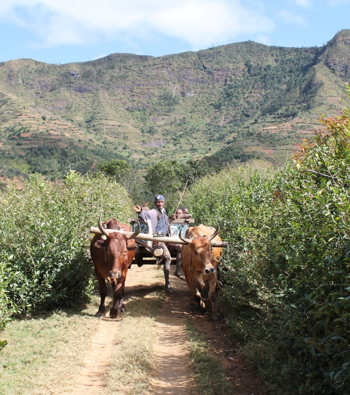 Paysages de Madagascar