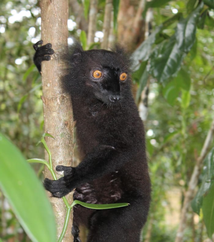 Paysages de Madagascar