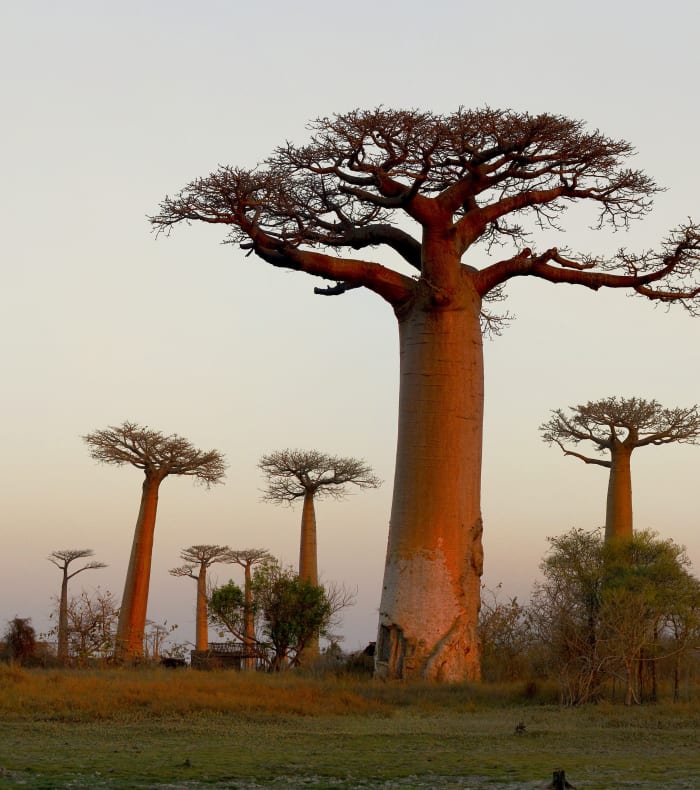 Madagascars landskaber