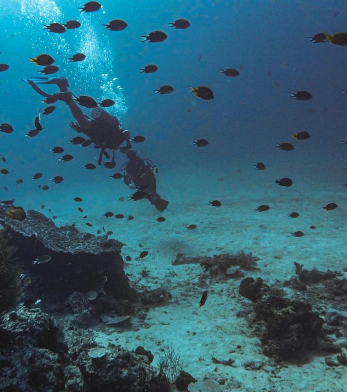 Plongée & Découverte - 10 jours