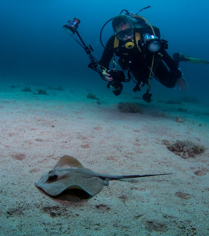 Plongée & Découverte