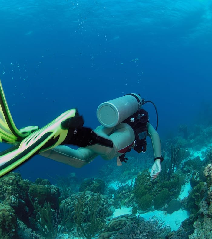 Plongée & Découverte