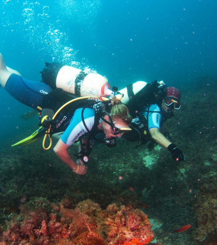 Plongée & Découverte