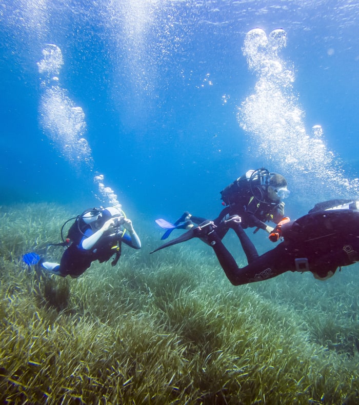Plongée & Découverte