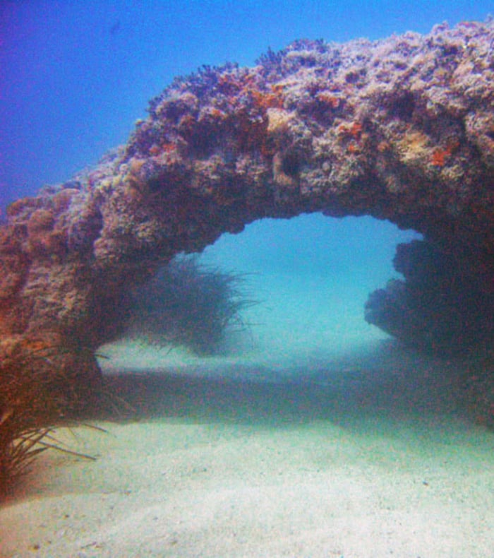 Plongée & Découverte