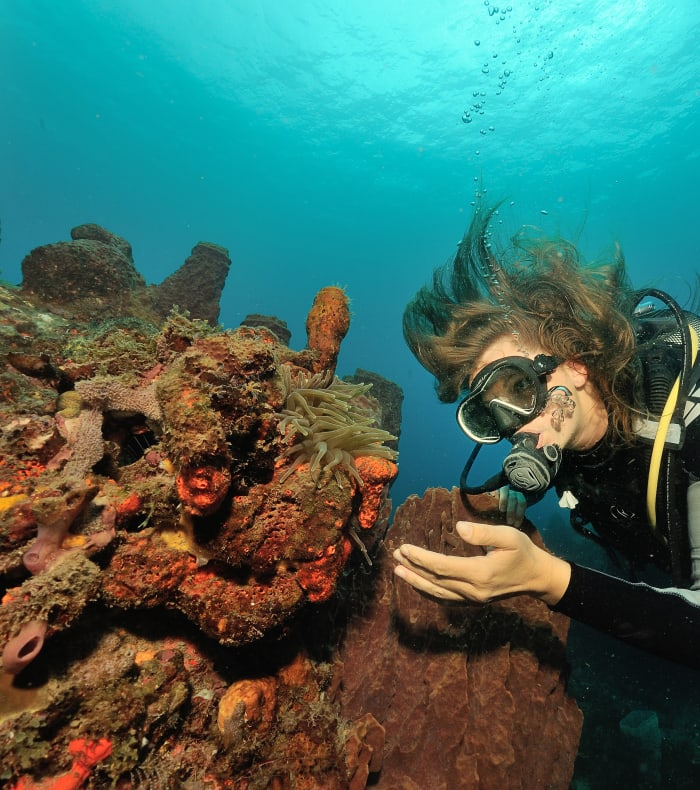 Plongée Autonome & Randonnée Caraïbes 15 jours