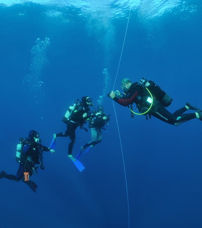 Plongée autonome Côte bleue
